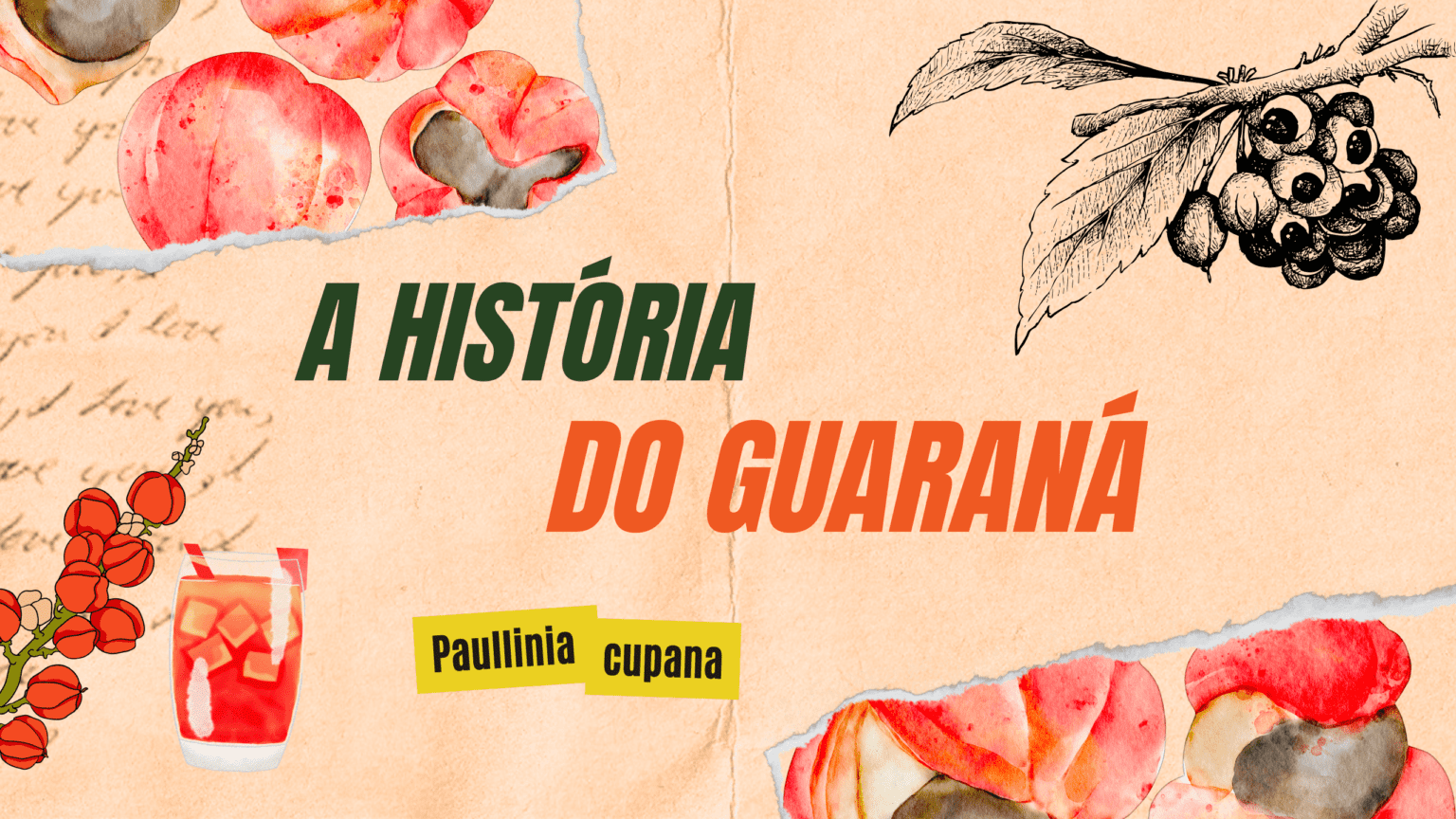 Guaraná: A Lenda e o Poder da Energia Amazônica - A História das Plantas
